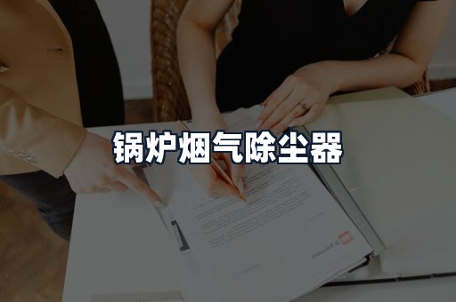 锅炉烟气除尘器