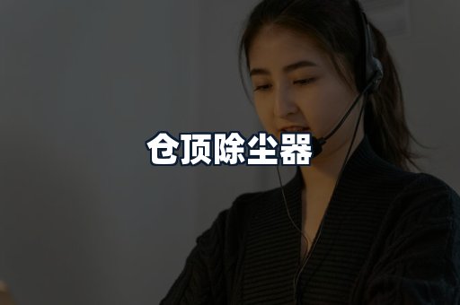 仓顶除尘器